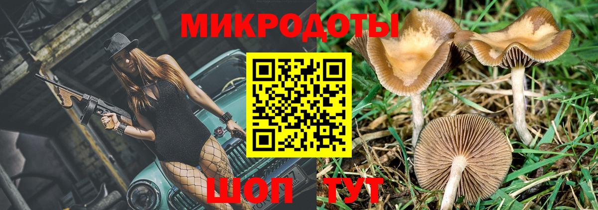 где купить наркоту  Галлюциногенные грибы прущие грибы  Вход с VPN  Иваново 
