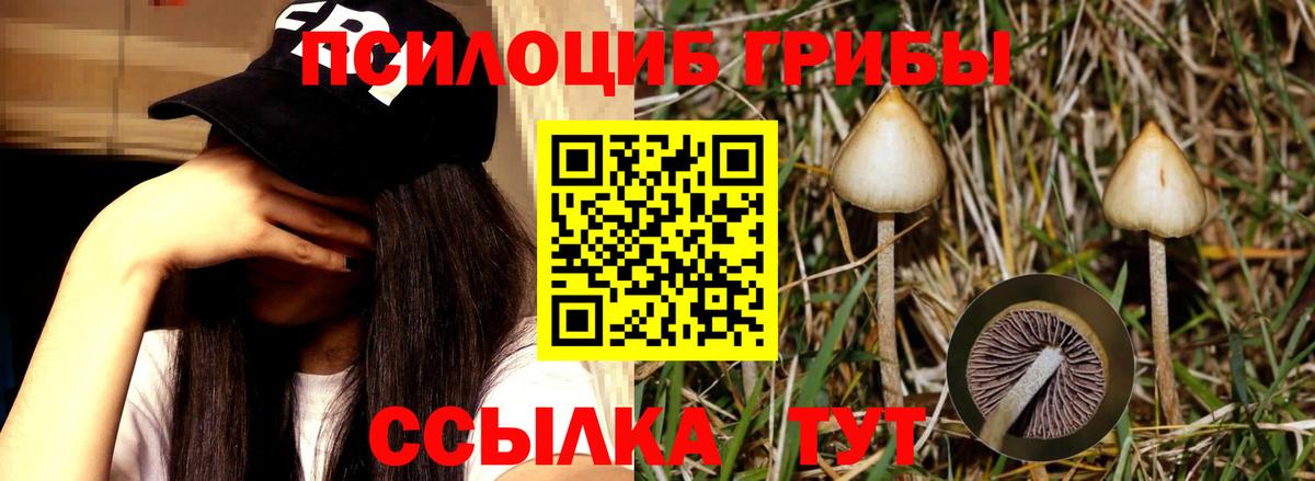 Псилоцибиновые грибы GOLDEN TEACHER Иваново